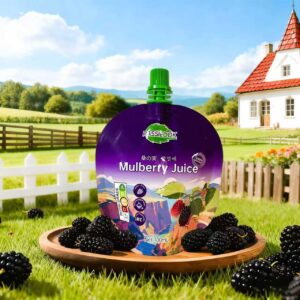 MULBERRY NFC JUICE 100ML